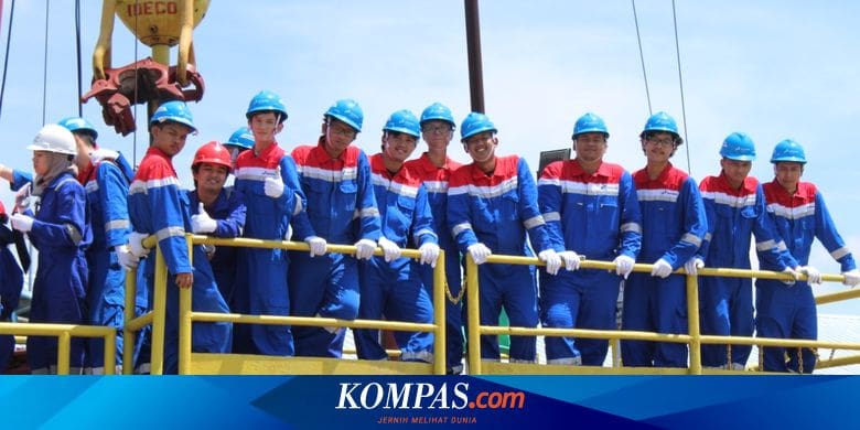 Beasiswa S1 Aperti Bumn Universitas Pertamina 2022 Bebas Biaya Kuliah